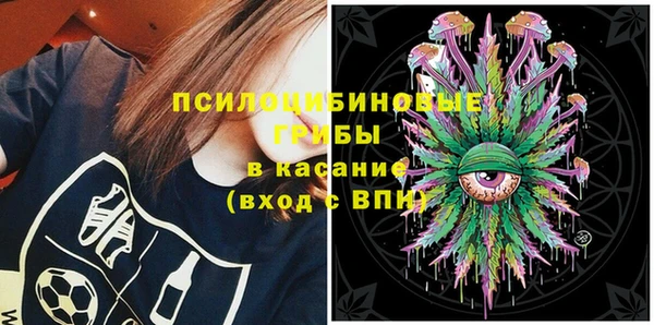 винт Карпинск