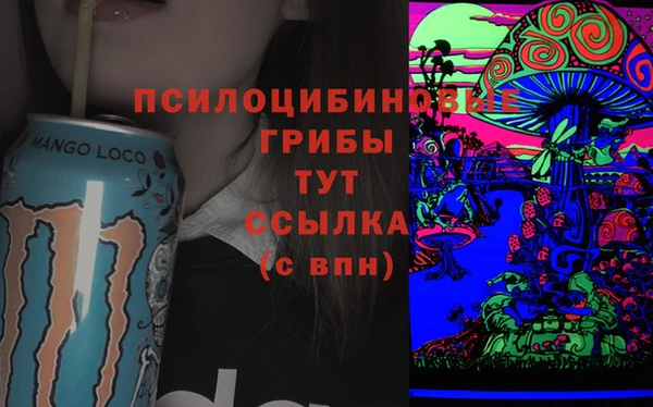 первитин Алексин