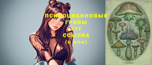 a pvp Алексеевка