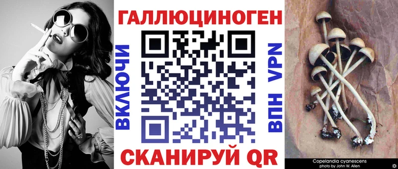 мориарти телеграм  МЕГА вход  Иноземцево  продажа наркотиков  Псилоцибиновые грибы мицелий 