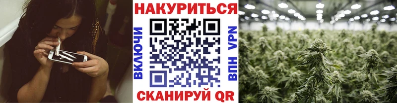 Канабис гибрид  Иноземцево 